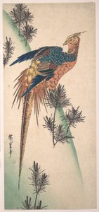 Fasan und Kiefern an einem verschneiten Hang von Utagawa Hiroshige
