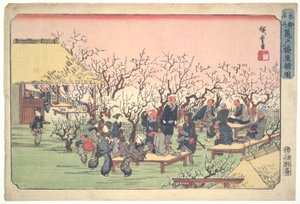 Pflaumenblüten im Kameido-Garten von Utagawa Hiroshige