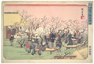 Pflaumenhain in Kameido, aus der Serie Berühmte Orte in der östlichen Hauptstadt