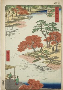 Bezirk des Akiba-Schreins, Ukeji (Ukeji Akiba no keidai), aus der Serie „Hundert berühmte Ansichten von Edo (Meisho Edo hyakkei)“