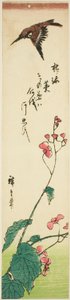 Spatz fliegt über Begonien von Utagawa Hiroshige
