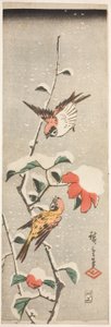 Spatzen und Kamelie im Schnee von Utagawa Hiroshige