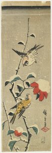 Spatzen und schneebedeckte Kamelie, 1837-1848