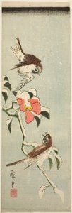 Spatzen und Kamelie im Schnee von Utagawa Hiroshige