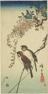 Spatzen und Glyzinien von Utagawa Hiroshige
