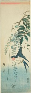 Schwalbe und Glyzinie von Utagawa Hiroshige