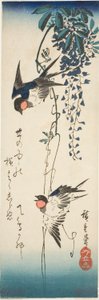 Schwalben und Glyzinien von Utagawa Hiroshige