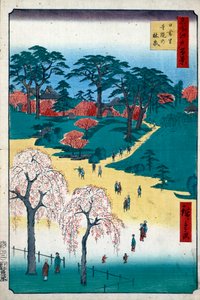 Tempelgärten in Nippori Hundert berühmte Ansichten von Edo, 1856-1858 von Utagawa Hiroshige