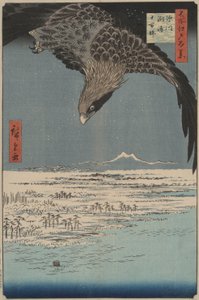 Zehntausend Morgen Ebene bei Fukagawa Susaki: Hundert berühmte Ansichten von Edo