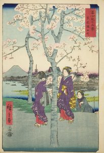 Der Sumida-Damm in der östlichen Hauptstadt (Toto Sumida-zutsumi), aus der Serie "Sechsunddreißig Ansichten des Berges Fuji (Fuji sanjurokkei)"