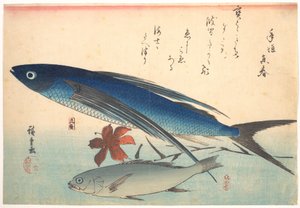 Tobiuo- und Ishimochi-Fische aus der Serie Uozukushi (Jede Art von Fisch) von Utagawa Hiroshige