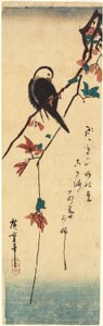 Weißköpfiger Vogel auf Ahornzweig von Utagawa Hiroshige