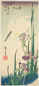 Weißer Reiher und Schwertlilien von Utagawa Hiroshige