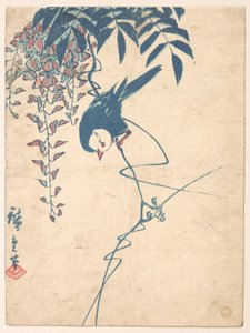 Glyzinie und weißköpfiger Vogel von Utagawa Hiroshige