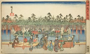 Blauregen in Kameido (Kameido Tenjin fuji hana), aus der Serie "Berühmte Orte in der östlichen Hauptstadt (Toto meisho)" von Utagawa Hiroshige