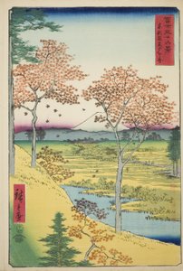 Yuhi-Hügel in Meguro in der östlichen Hauptstadt (Toto Meguro Yuhigaoka), aus der Serie "Sechsunddreißig Ansichten des Berges Fuji (Fuji sanjurokkei)" von Utagawa Hiroshige