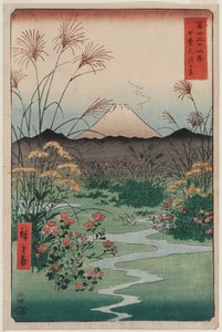Ebene von Ōtsuki in der Provinz Kai, aus der Serie Sechsunddreißig Ansichten des Berges Fuji