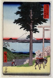 Berg Fuji hinter einem Mammutbaum - Japanischer Druck von Hiroshige Utagawa von Utagawa II Hiroshige