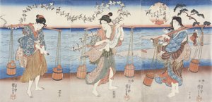 Regenpfeifer des Noda-Juwelenflusses der Provinz Mutsu von Utagawa Kuniyoshi