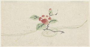 Zweig mit roter Kamelie