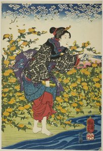 Der Ide-Juwelenfluss in der Provinz Yamashiro (Yamashiro kuni Ide no Tamagawa), aus einer unbetitelten Serie der sechs Juwelenflüsse von Utagawa Kuniyoshi