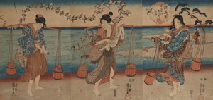 Der Regenpfeifer am Kristallfluss in der Provinz Mutsu von Utagawa Kuniyoshi