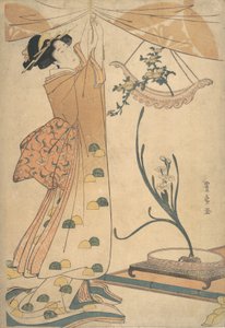 Eine Frau bindet einen Vorhang fest, ein Blumenarrangement von Chrysanthemen in einer bootförmigen Vase von Utagawa Toyohiro