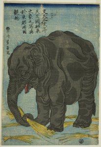 Bild eines großen Elefanten aus Indien (Tenjiku hakurai dai zo no shashin), eine Attraktion in Ryogoku in der östlichen Hauptstadt (Toto Ryogoku mimono)
