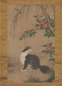 Moschuskatze, zweite Hälfte des 16. Jahrhunderts