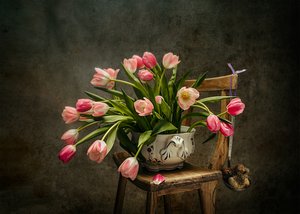 Elegante rosa Tulpen von Vadim Kulinsky