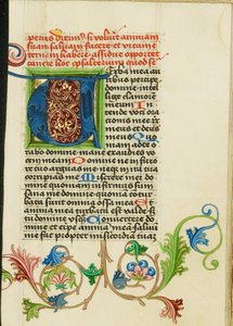 Geschmücktes Initial V