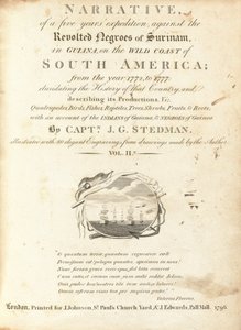 Erzählung einer fünfjährigen Expedition gegen die aufständischen Neger von Surinam in Guiana an der wilden Küste Südamerikas (Band II) von Various Artists, including William Blake, after John Gabriel Stedman
