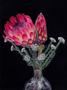 Lebendiger Protea-Strauß von Viccy Wanliss