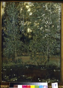 Teich in Akhtyrka (oder Okhtyrka, Ukraine) von Victor Mikhailovich Vasnetsov