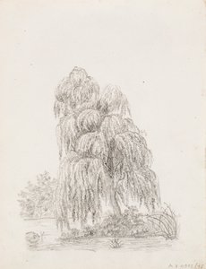 Breitblättriger Baum von Victoria Åberg