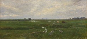 Gänse an einem See. Ein Sturm zieht auf. Dragør, die Insel Amager