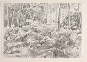 Aus einem Garten von Viggo Langer