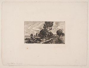 Weg durch das Moor