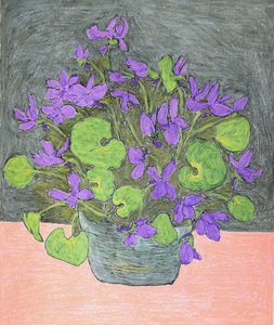 Getopfte violette Veilchen