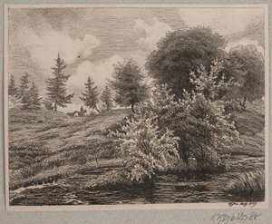 Hügel bei einem Moor