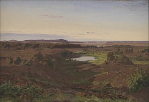 Landschaft im Norden von Seeland. Nachmittag