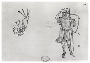 Fol.2 Schnecke und ungarischer Soldat (Faksimilekopie) von Villard de Honnecourt
