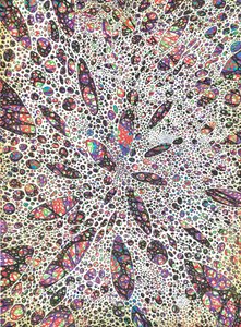 Sterne gebären Farbe, 2016 von Vincent Alexander Booth