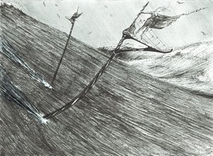 Sturmerschaffer Schwarzes Meer, 2017 von Vincent Alexander Booth