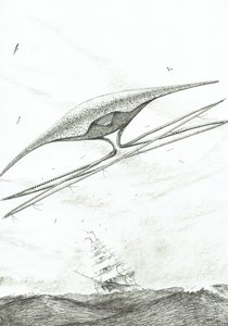 Sturmerschaffer Foxe Basin, 2022 von Vincent Alexander Booth