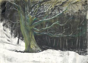 Baum im Winterschnee in Osmotherley Wäldern von Vincent Alexander Booth