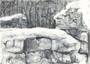 Mauer im Wald Osmotherley von Vincent Alexander Booth