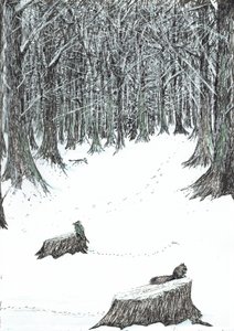 Seite 5, Das Schloss im Wald von Findhorn, 2006