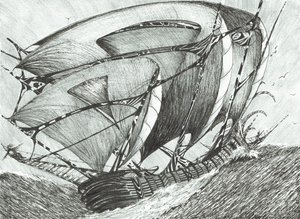 Sturmerschaffer Asowsches Meer, 2017 von Vincent Alexander Booth