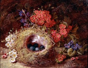 Stillleben mit Vogelnest und Blüten